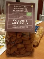 Biscotti del buongiorno al cioccolato
