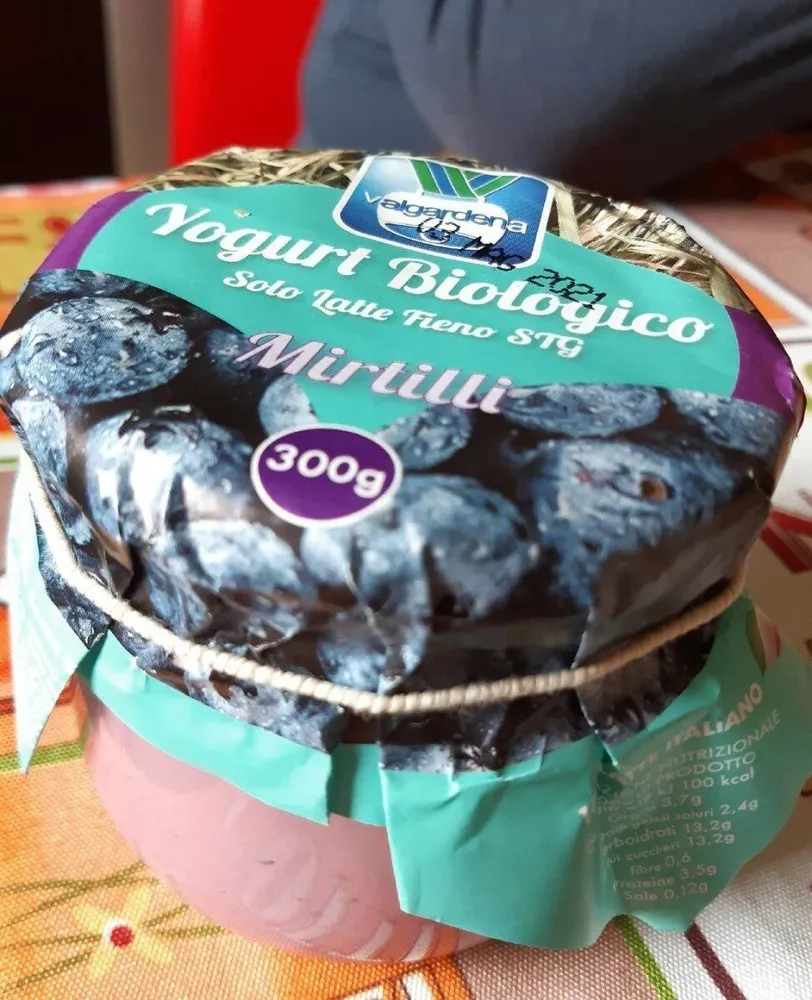 Yogurt biologico Mirtilli