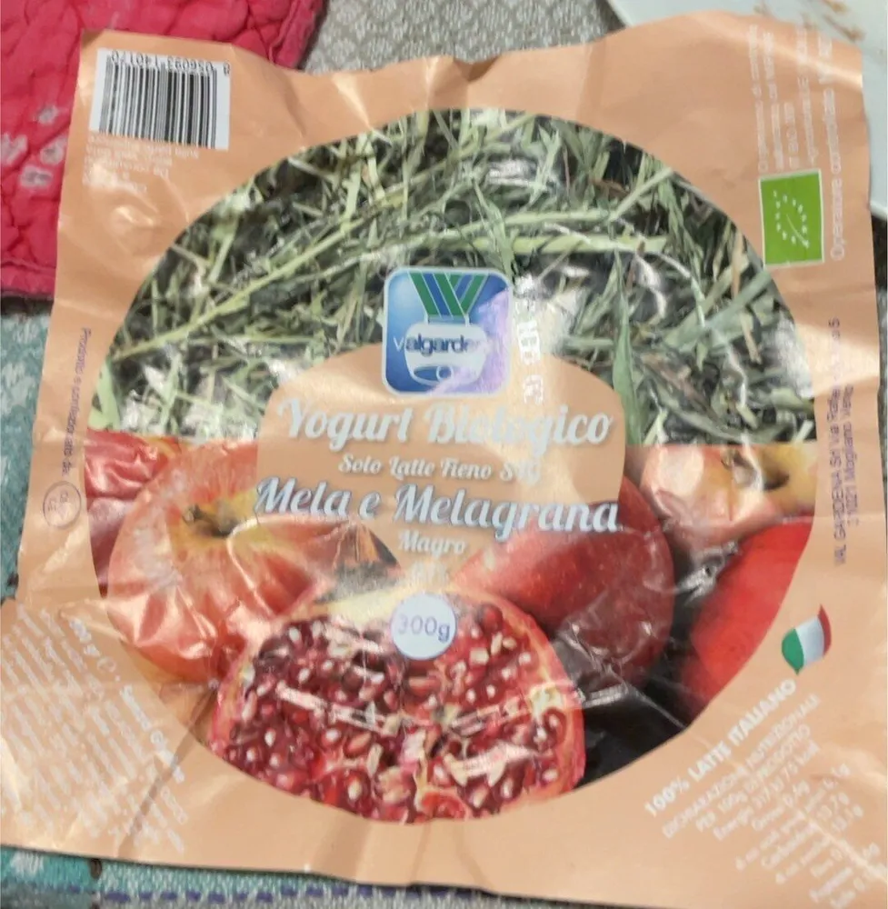 Yogurt bio