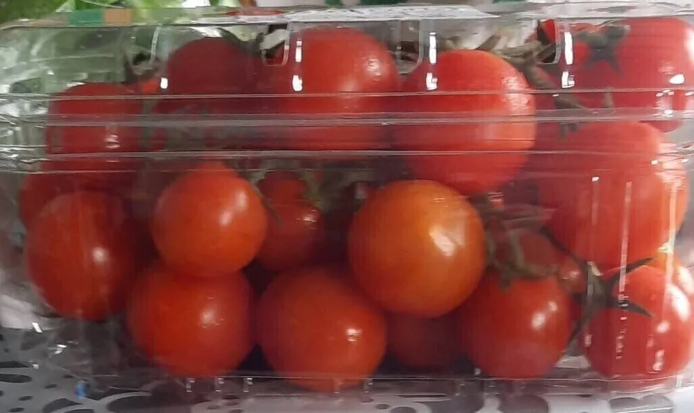 Pomodoro ciliegino 500g