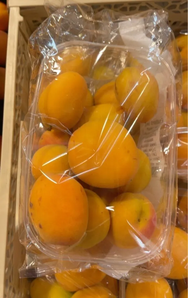 Albicocche