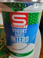 Yogurt bianco intero