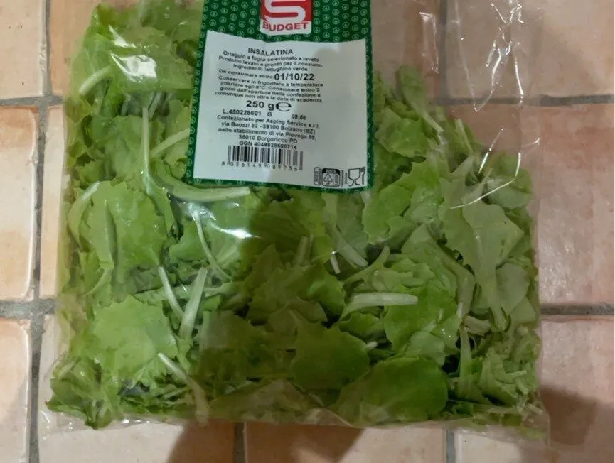 Insalatina