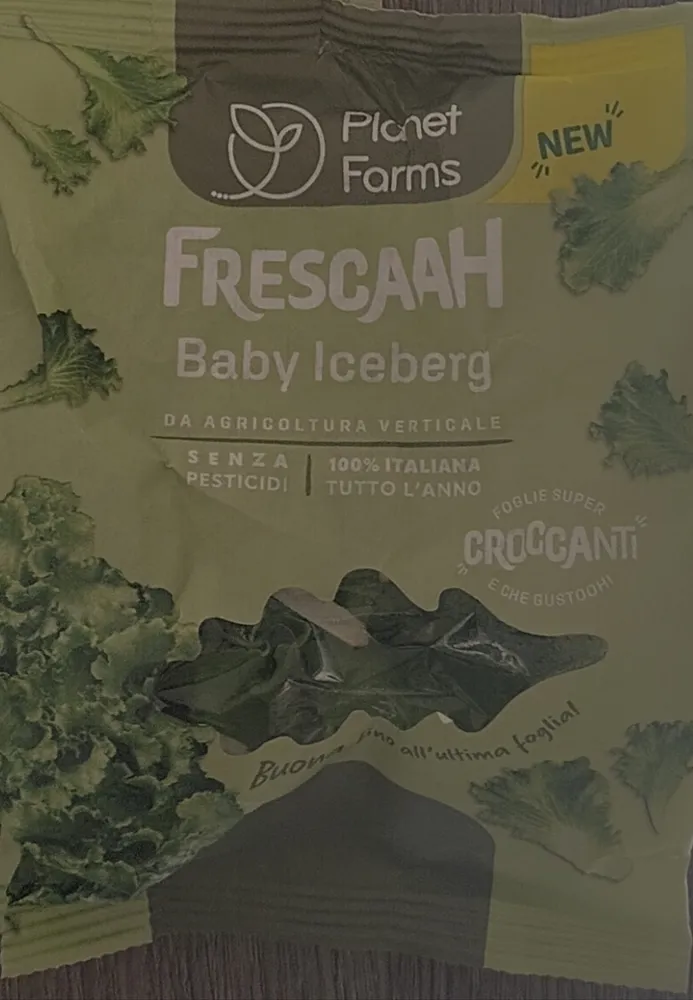 Frescaah baby iceberg