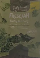 Frescaah baby iceberg