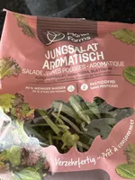 Jungsalat Aromatisch