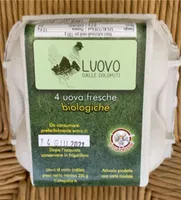 Luovo dalle Dolomiti