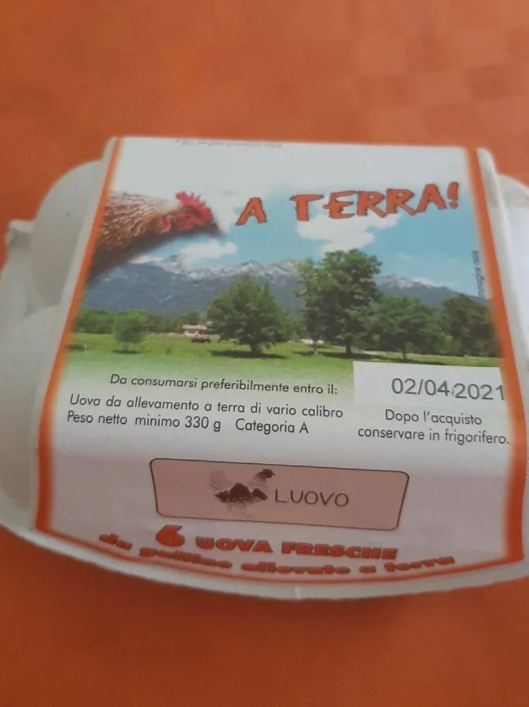 Uova fresche da galline allevate a terra