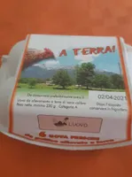 Uova fresche da galline allevate a terra