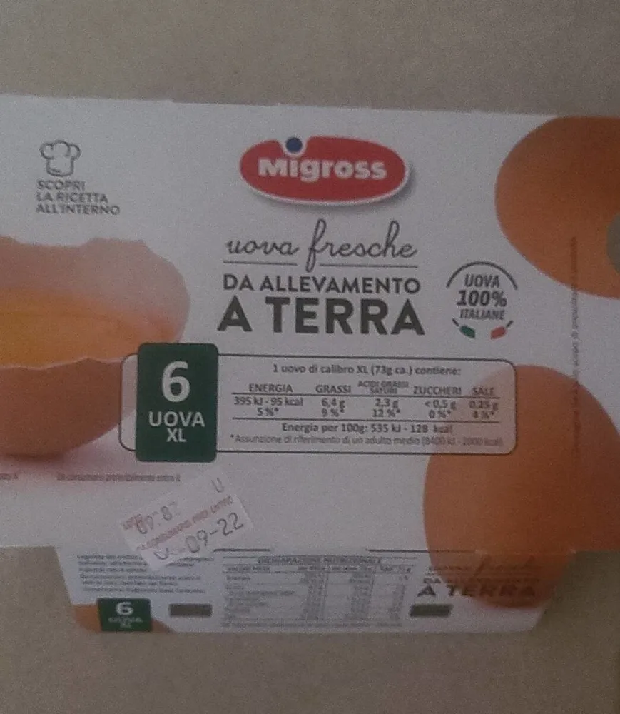 Uova fresche da allevamento a terra XL