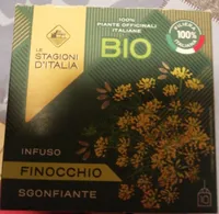 Infuso finocchio