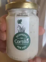 Yogurt