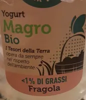 Yogurt magro bio