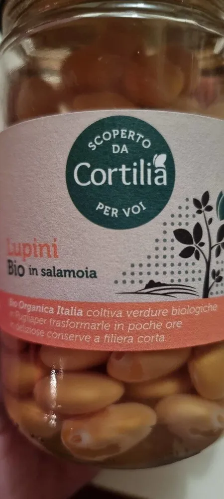 Lupini bio in salamoia