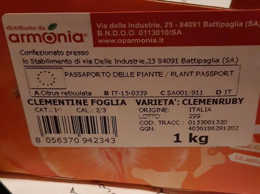 Dolce clementina