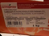 Dolce clementina