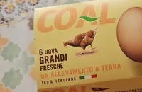 6 uova grandi