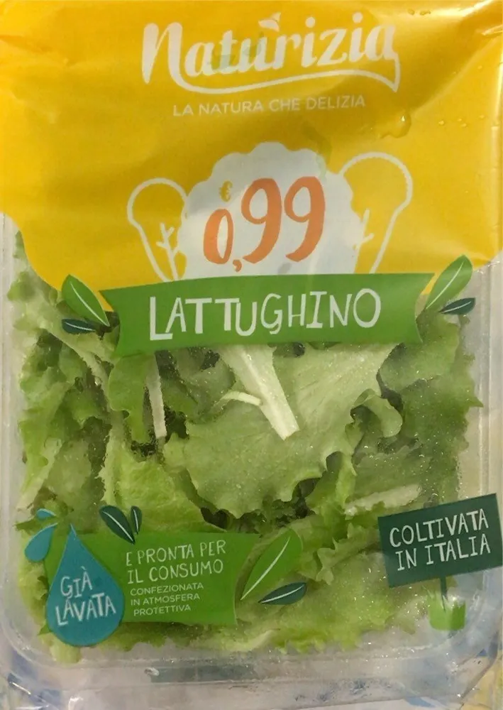 Lattughino
