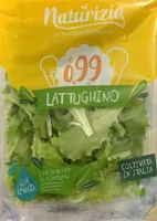 Lattughino