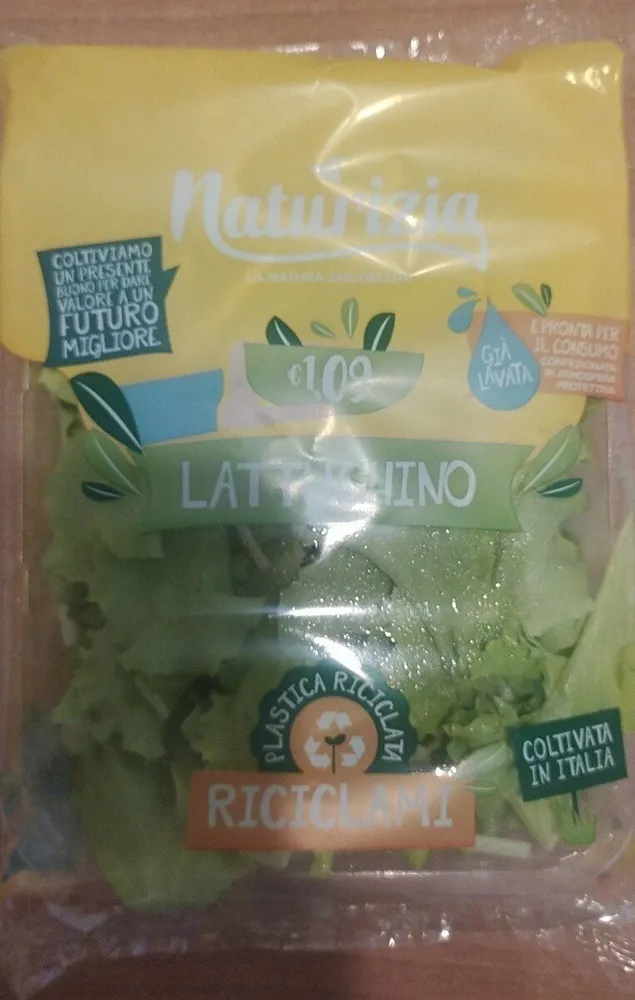 Lattughino