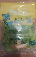 Lattughino