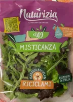 Misticanza