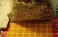 Risotto crudo e porcini