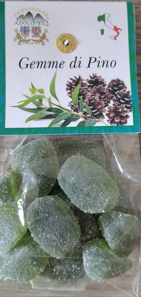 Gemme di pino