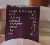 Formaggio fuso