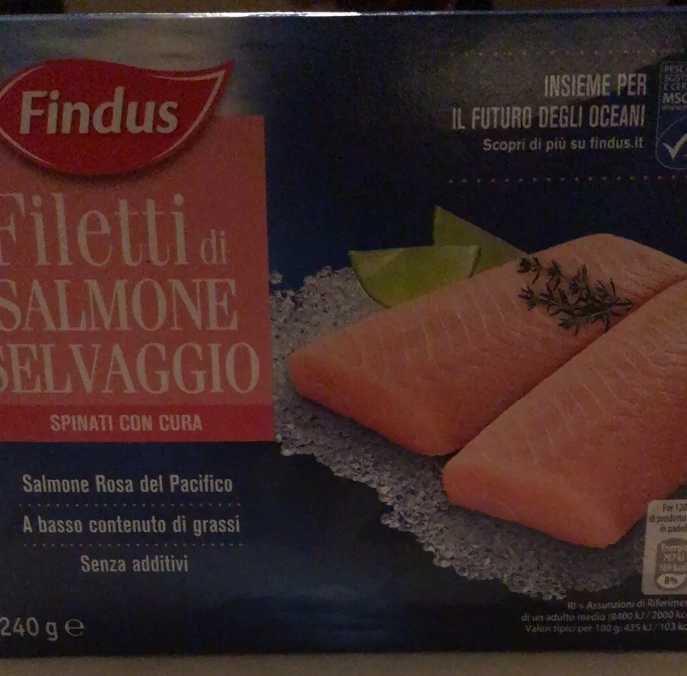 Filetti di salmone selvaggio