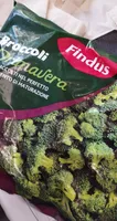 broccoli primavera Findus i rami 500