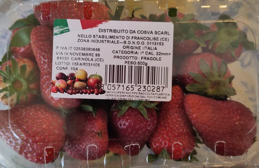 Fragole