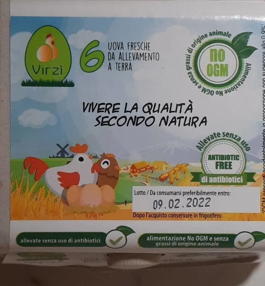 Uova fresche da allevamento a terra