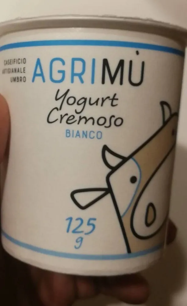 Yogurt