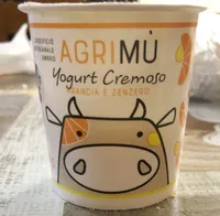 yogurt cremoso arancia e zenzero