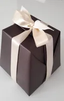 Pandoro al cioccolato