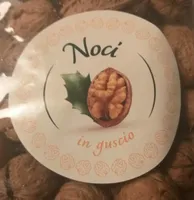 Noci in Guscio
