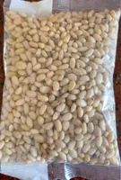 Pinoli sgusciati