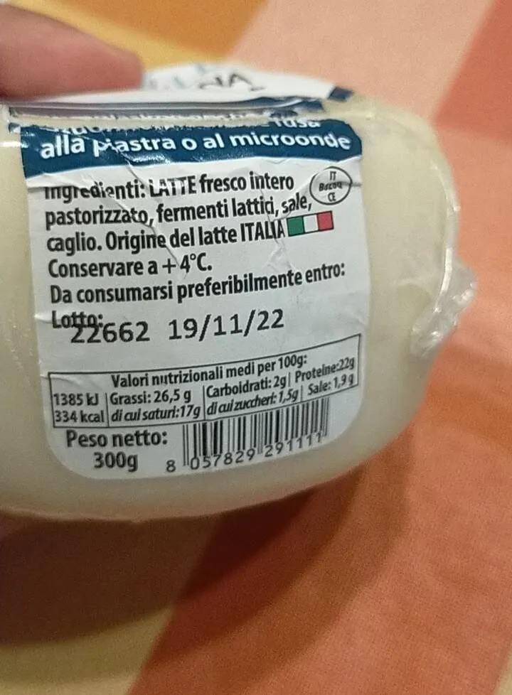 Mammellina