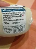 Mammellina