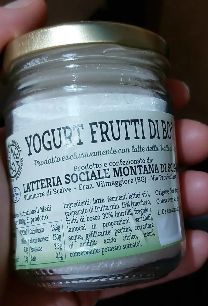 Yogurt frutti di bosco latteria sociale montana di scalve