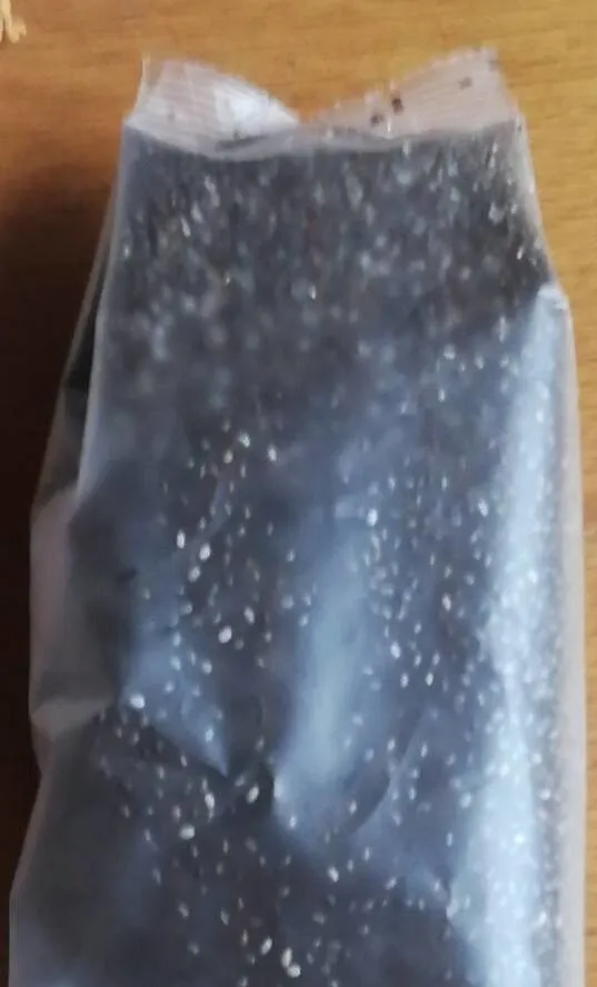 Semi di chia nera