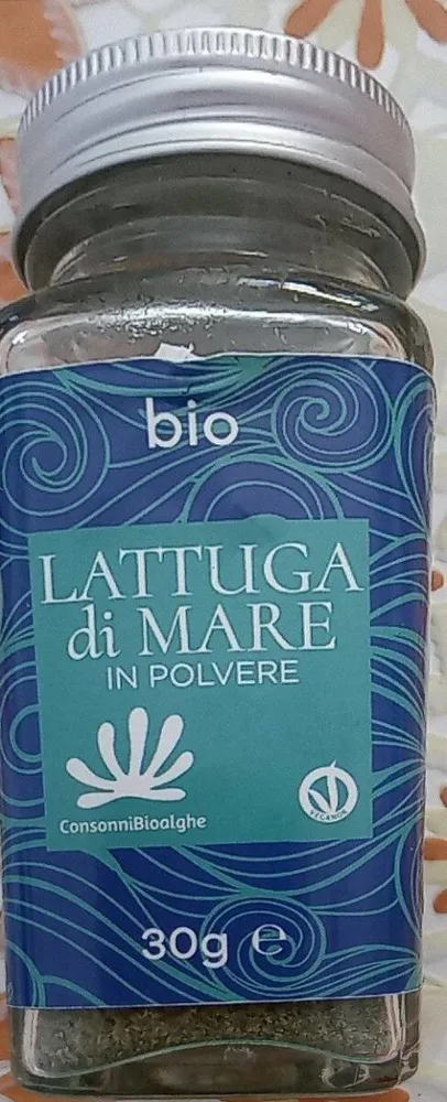 Lattuga di mare