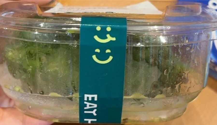 Insalata Wakame