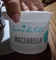 Mozzarella