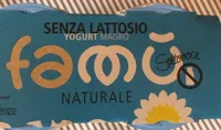 Yogurt magro senza lattosio