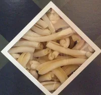 Pasta di gragnano igp