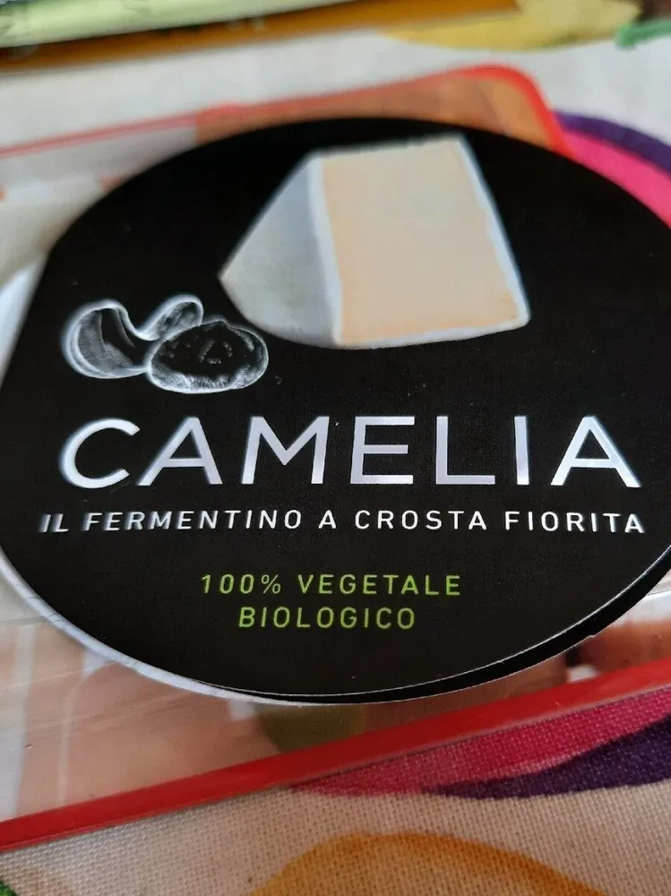 Camelia
