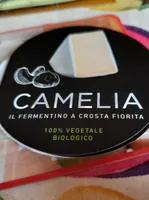 Camelia