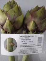 Carciofo